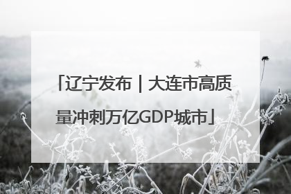 辽宁发布｜大连市高质量冲刺万亿GDP城市