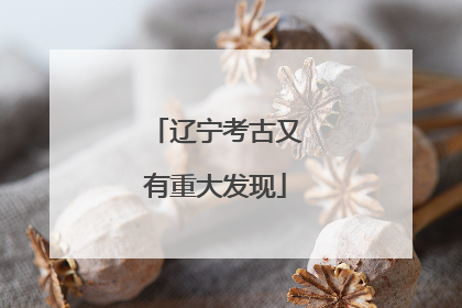 辽宁考古又有重大发现