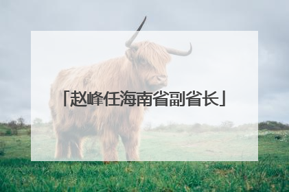 赵峰任海南省副省长