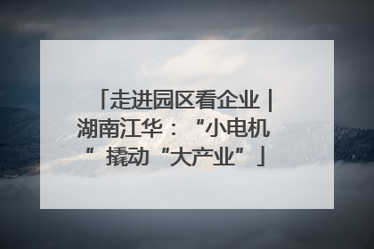 走进园区看企业｜湖南江华：“小电机”撬动“大产业”