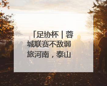 足协杯｜蓉城联赛不敌弱旅河南，泰山主场作战不妨“抄作业”
