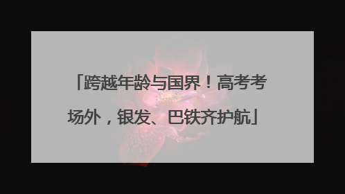 跨越年龄与国界！高考考场外，银发、巴铁齐护航
