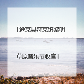 逊克县奇克镇黎明草原音乐节收官