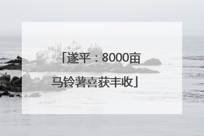 遂平：8000亩马铃薯喜获丰收