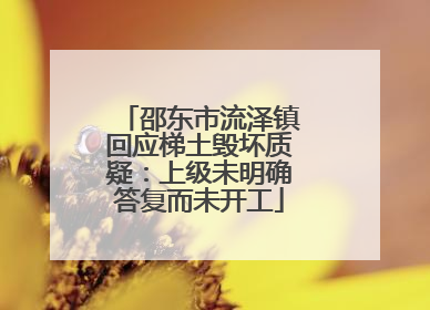 邵东市流泽镇回应梯土毁坏质疑：上级未明确答复而未开工