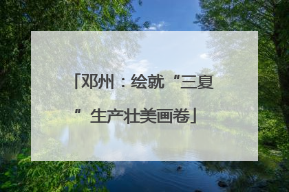 邓州：绘就“三夏”生产壮美画卷