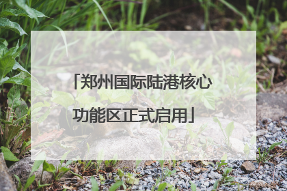 郑州国际陆港核心功能区正式启用