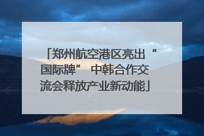 郑州航空港区亮出“国际牌” 中韩合作交流会释放产业新动能