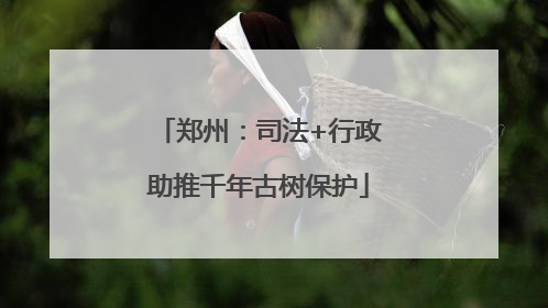 郑州：司法+行政助推千年古树保护