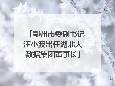 鄂州市委副书记汪小波出任湖北大数据集团董事长