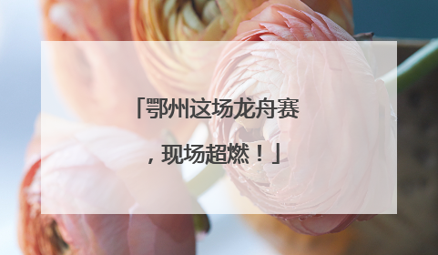 鄂州这场龙舟赛，现场超燃！