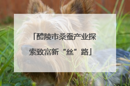 醴陵市桑蚕产业探索致富新“丝”路