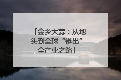 金乡大蒜：从地头到全球“链出”全产业之路