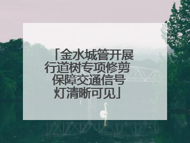 金水城管开展行道树专项修剪 保障交通信号灯清晰可见