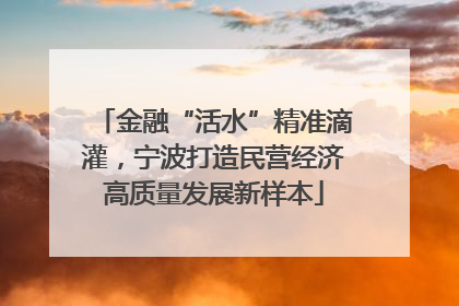 金融“活水”精准滴灌，宁波打造民营经济高质量发展新样本