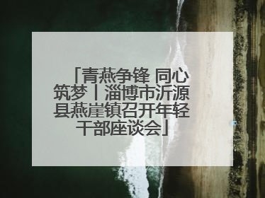 青燕争锋 同心筑梦丨淄博市沂源县燕崖镇召开年轻干部座谈会
