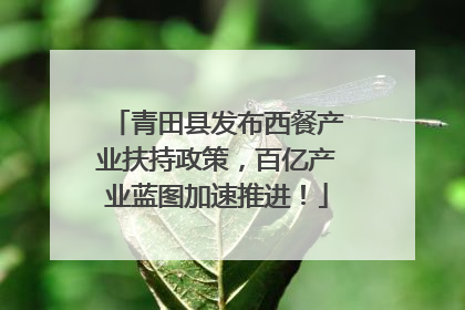 青田县发布西餐产业扶持政策，百亿产业蓝图加速推进！
