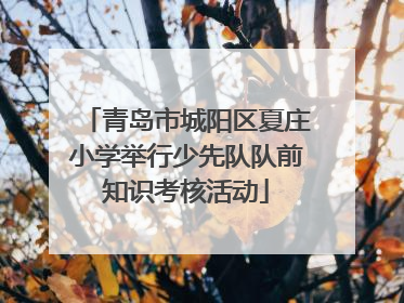 青岛市城阳区夏庄小学举行少先队队前知识考核活动