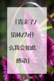 青未了/见林/为什么我会如此感动