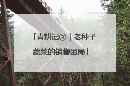 青耕记③｜老种子蔬菜的销售困局