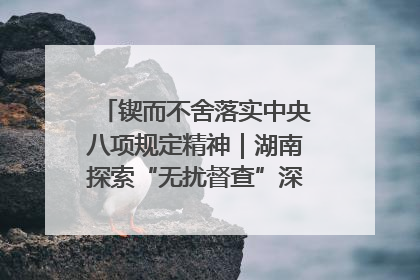 锲而不舍落实中央八项规定精神｜湖南探索“无扰督查”深化基层减负