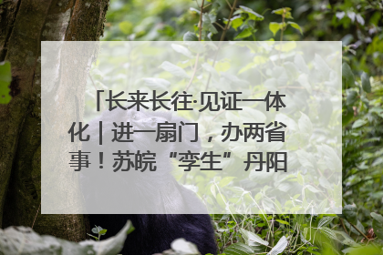 长来长往·见证一体化｜进一扇门，办两省事！苏皖“孪生”丹阳如何做到的？