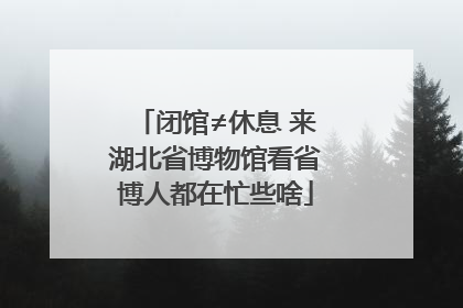 闭馆≠休息 来湖北省博物馆看省博人都在忙些啥