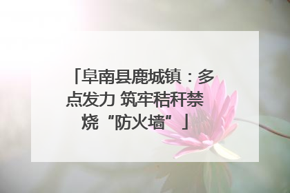 阜南县鹿城镇：多点发力 筑牢秸秆禁烧“防火墙”