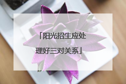 阳光招生应处理好三对关系