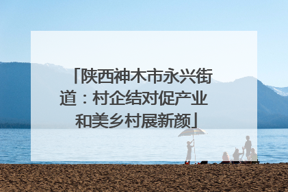 陕西神木市永兴街道：村企结对促产业 和美乡村展新颜