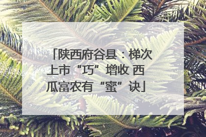 陕西府谷县：梯次上市“巧”增收 西瓜富农有“蜜”诀