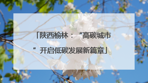 陕西榆林：“高碳城市”开启低碳发展新篇章