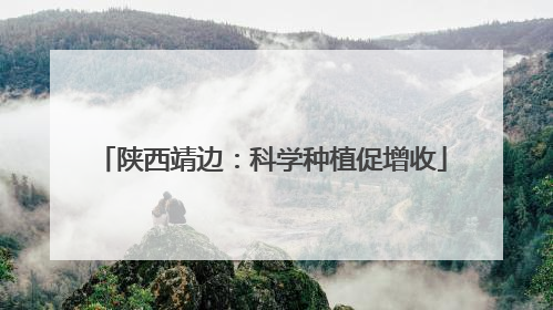 陕西靖边：科学种植促增收