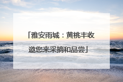 雅安雨城：黄桃丰收 邀您来采摘和品尝