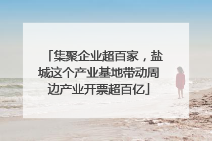 集聚企业超百家，盐城这个产业基地带动周边产业开票超百亿