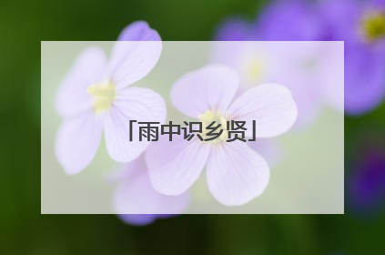 雨中识乡贤