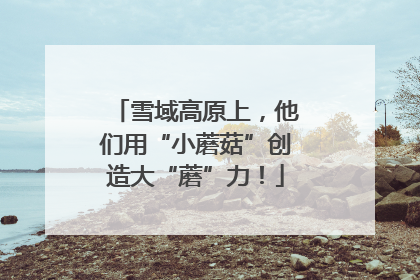 雪域高原上，他们用“小蘑菇”创造大“蘑”力！