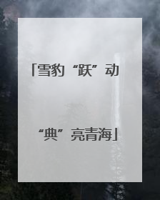 雪豹“跃”动 “典”亮青海
