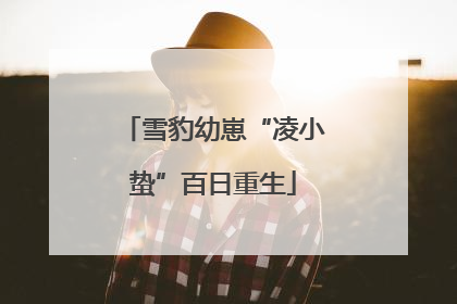 雪豹幼崽“凌小蛰”百日重生