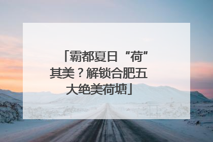 霸都夏日“荷”其美？解锁合肥五大绝美荷塘