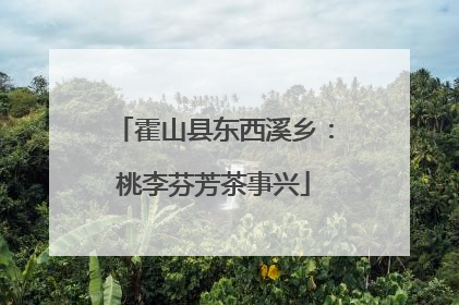 霍山县东西溪乡：桃李芬芳茶事兴