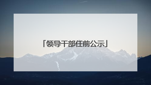领导干部任前公示