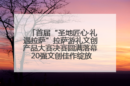 首届“圣地匠心·礼遇拉萨”拉萨游礼文创产品大赛决赛圆满落幕 20强文创佳作绽放雪域文化魅力