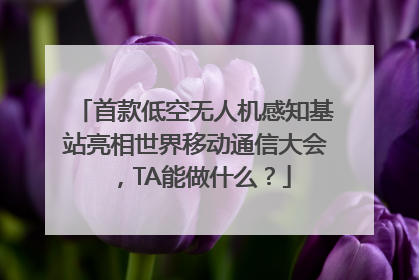 首款低空无人机感知基站亮相世界移动通信大会，TA能做什么？