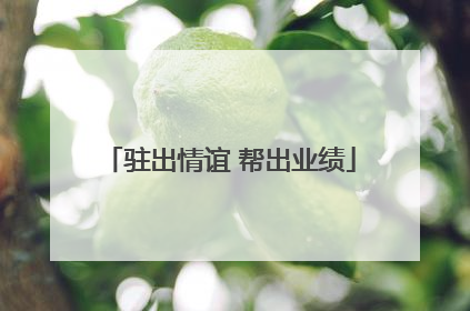 驻出情谊 帮出业绩
