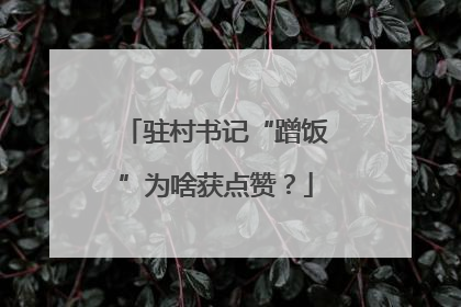 驻村书记“蹭饭”为啥获点赞？
