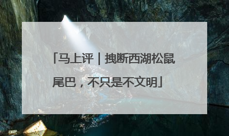 马上评｜拽断西湖松鼠尾巴，不只是不文明