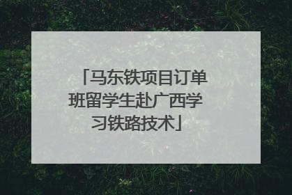 马东铁项目订单班留学生赴广西学习铁路技术