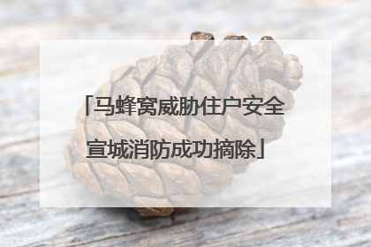 马蜂窝威胁住户安全 宣城消防成功摘除