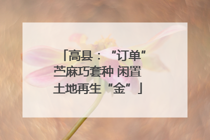 高县：“订单”苎麻巧套种 闲置土地再生“金”